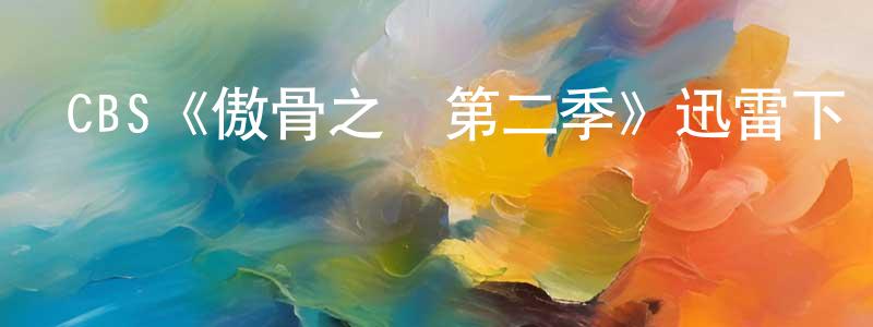 艾佟的個人主頁,CBS《傲骨之戰第二季》迅雷下載/在線觀看/百度云-都市/情感-美劇天堂